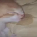eepy