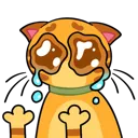 cry