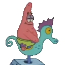 patrickseahorse