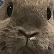 empres108PtsdBun empres108PtsdBun