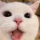 mlem