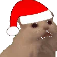 xmas_cat_aaa