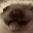 eat
