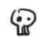skull