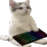 kittyhyper
