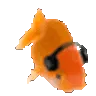fishvibe fishvibe