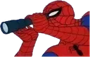 SpySpiderman