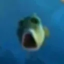 omaigod