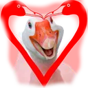 HeartGoose