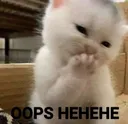 hehe