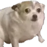 confusedr