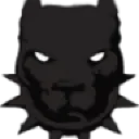 panther panther