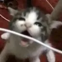 NomTheChargingCable NomTheChargingCable