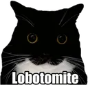 BBlobo