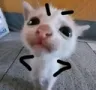 __