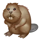 beaver