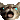 ppixelcatsobsad