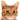 ppixelcatwink2