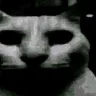UncannyCat