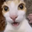emoji_202