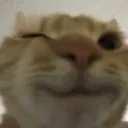 emoji_204