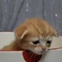 emoji_205