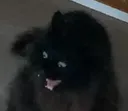 reeee
