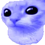 buuh