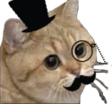 fancyCat