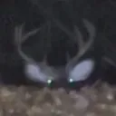peek