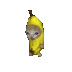 bananacatrun