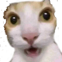 shockedcat Discord emoji
