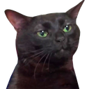 zoningoutcat Discord emoji