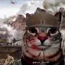 catchat catchat