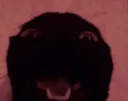 AAAAAAAAAAAAAAAAAAAAAAAAAAAAAAAA