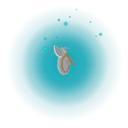 medievalaxeandshield