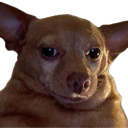 xdoggostare Discord emoji