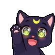 cat_wave