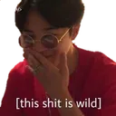 This_shit_is_wild