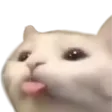 blep
