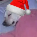 TS_slept