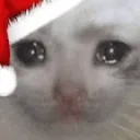 SadCat