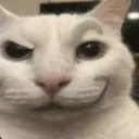 Cdeviouscat Cdeviouscat