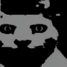 Catschizo Discord Emoji