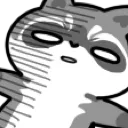 raccoonfaint