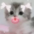 netyanBaby