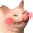 cat_blush