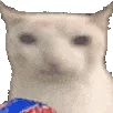 chips