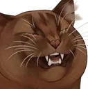Cat Kek Discord Emoji