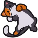 MistyShowBelly